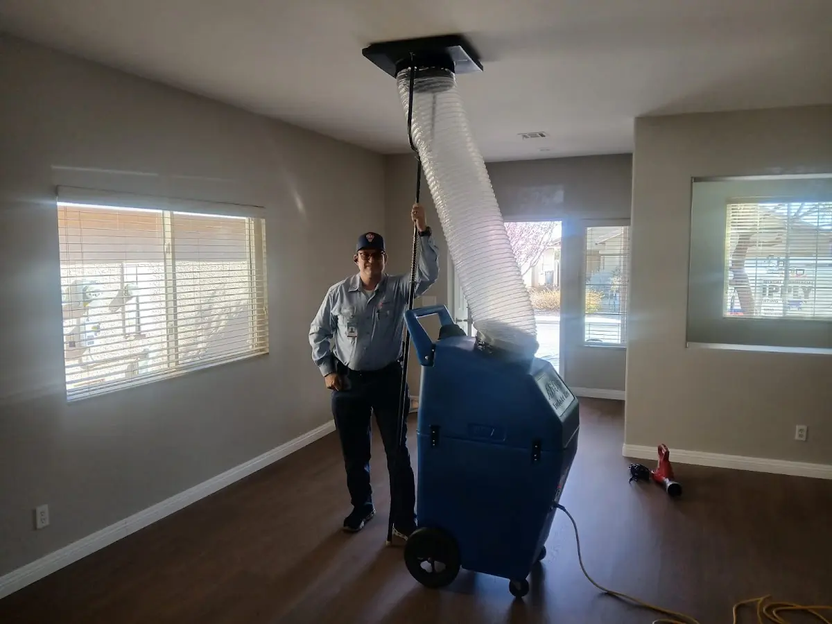 Professional Dryer Vent Cleaning work inside a Findlay home